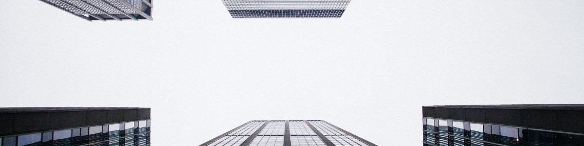 探索香港審計報告：權威部門、審計機構和在線資源一網打盡